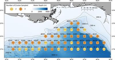 A Multidisciplinary Approach to Investigate Deep-Pelagic Ecosystem Dynamics in the Gulf of Mexico Following Deepwater Horizon